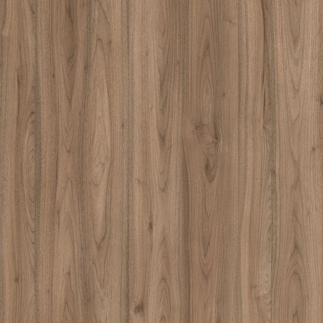 0954 Panorama Nussbaum Hell PM