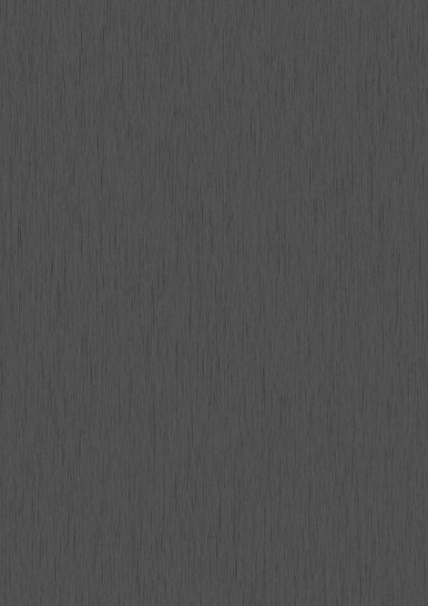 55800 Titan One Anthrazit