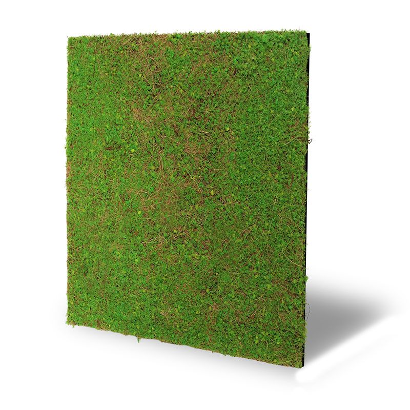 11106 Light Green Coconut