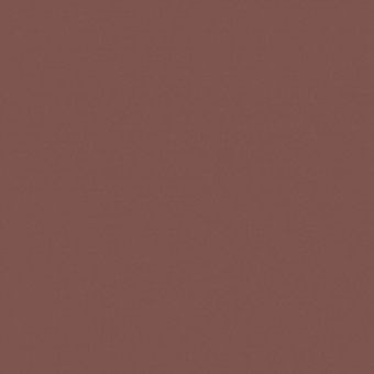 0U311 Roasted Brown BST