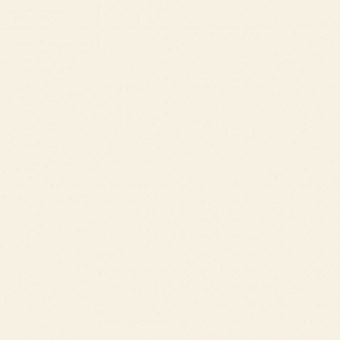 0U222 Rice Paper CST