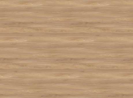 37965 Ulme Synchronpore 8mm