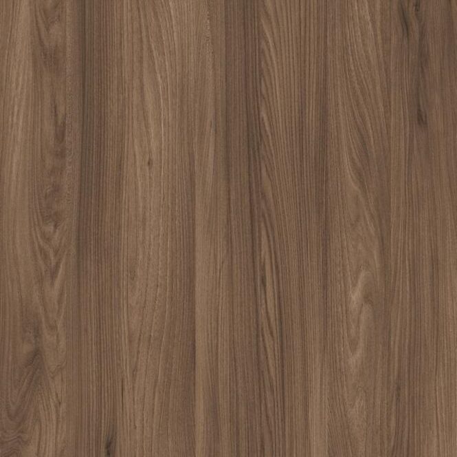 37755 Noce Sizilia 8mm BS