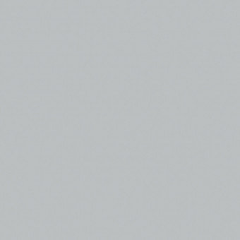 U12009 Silbergrau SD