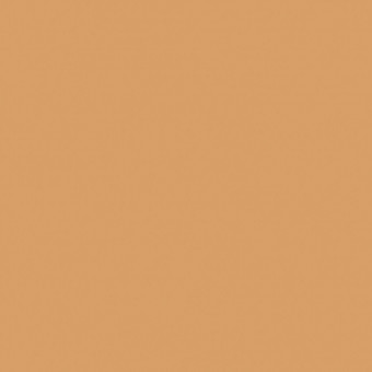 22866 OF Mandarin Orange