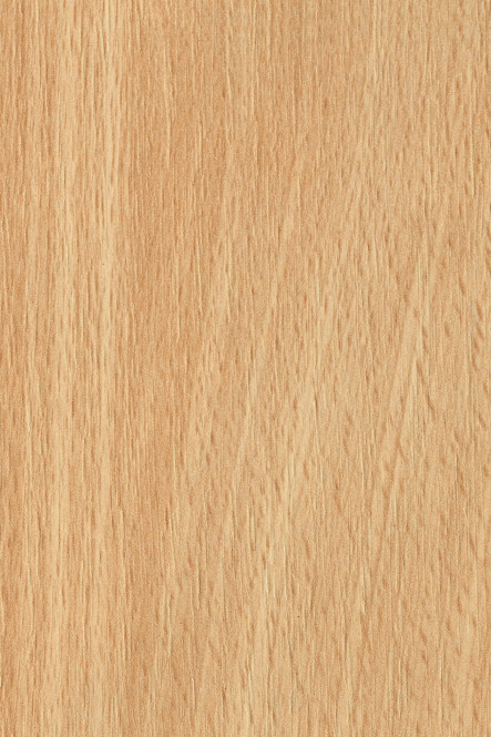 HDF Rückwandplatte 3 mm einseitig Dekor in Buche beschichtet