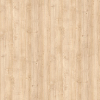 R27044 Spitzahorn FL