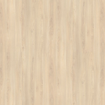 R24029 Fjord Buche Hell