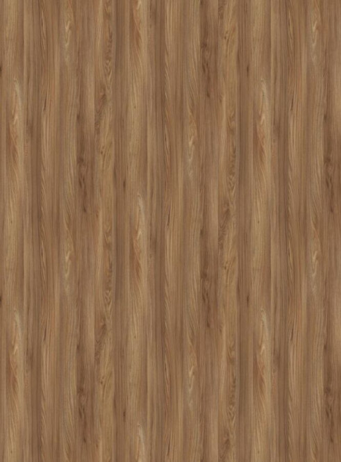 K5277 Ulme Sangallo Outback