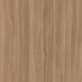 4048 Atlanta Nussbaum PM