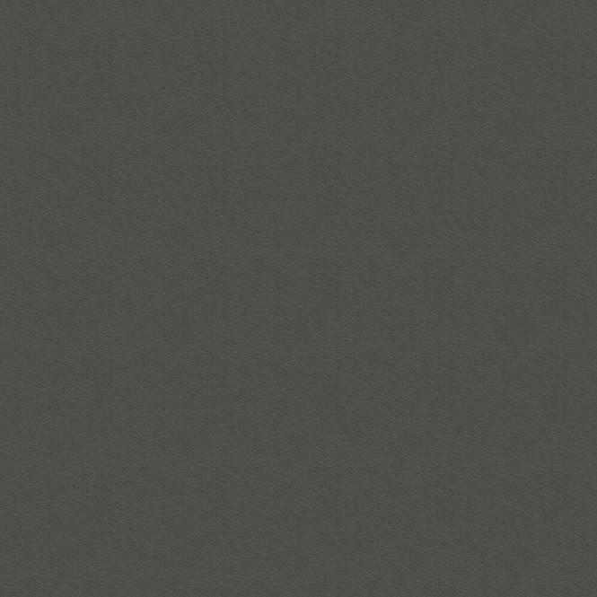 Y275 Graphitgrau FS02