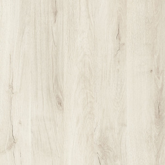 Y627 White Arwen Oak