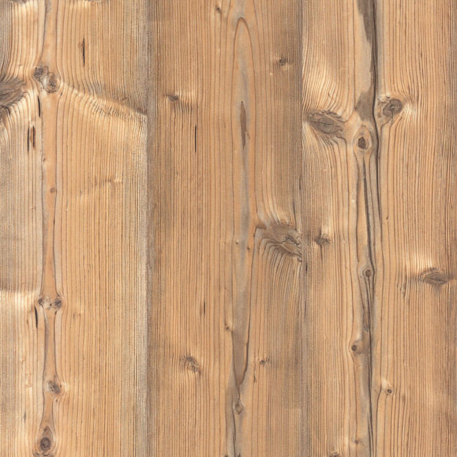 0921 Silberfichte Braun